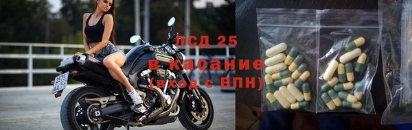 гидра Нея