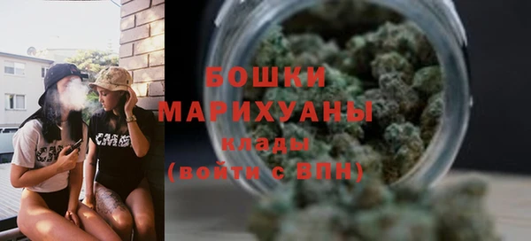 гидра Нея