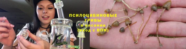 гидра Нея