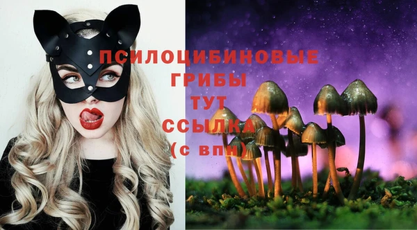 дживик Нефтекумск