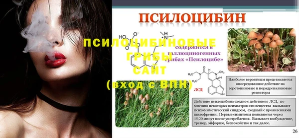 гидра Нея