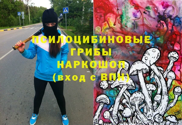 дживик Нефтекумск