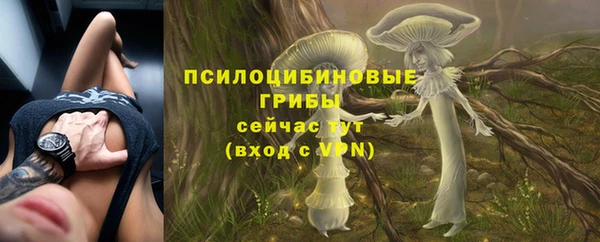 стафф Нефтегорск