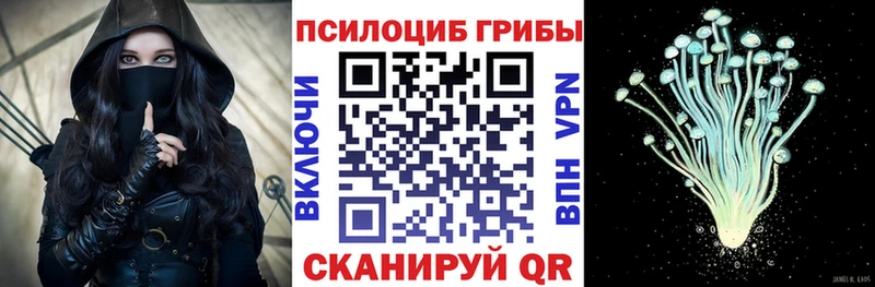 Псилоцибиновые грибы Psilocybine cubensis  omg ONION  Ужур  где купить наркотик 